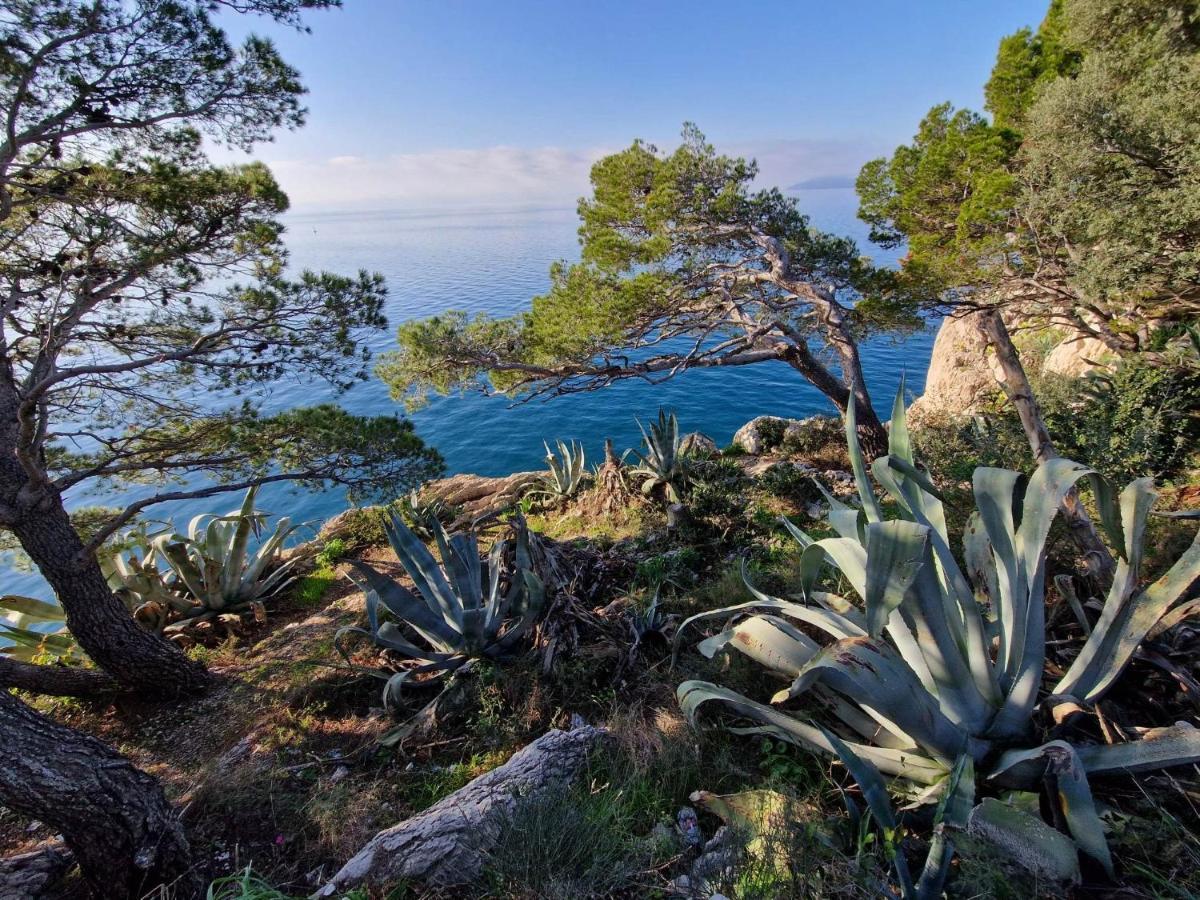 Apartment Villa Mirna Makarska Luaran gambar