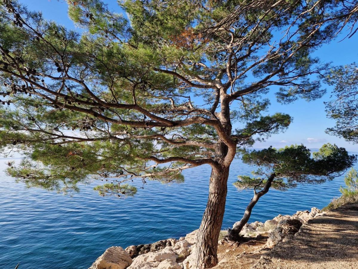 Apartment Villa Mirna Makarska Luaran gambar