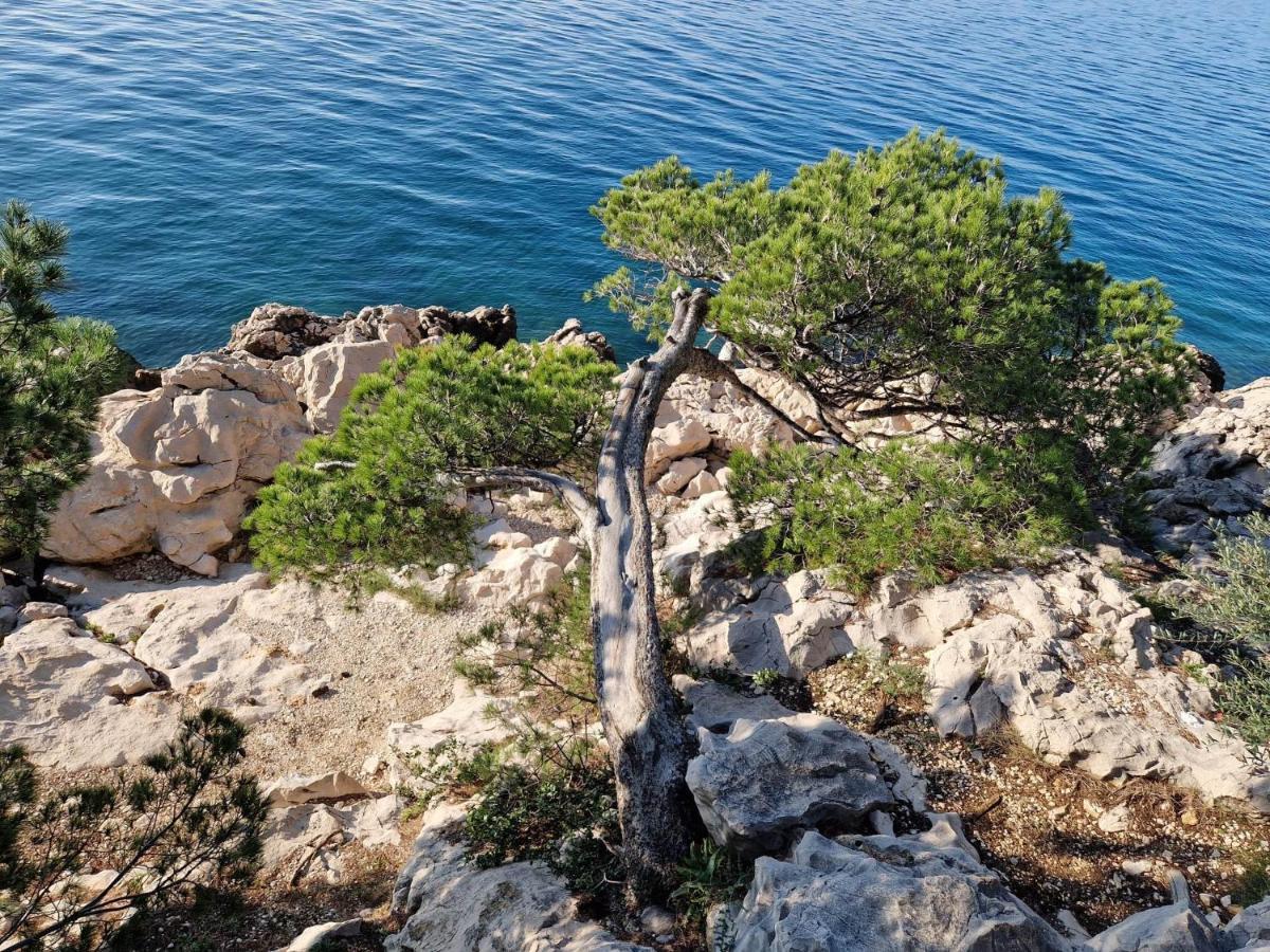 Apartment Villa Mirna Makarska Luaran gambar