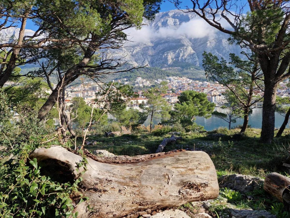 Apartment Villa Mirna Makarska Luaran gambar