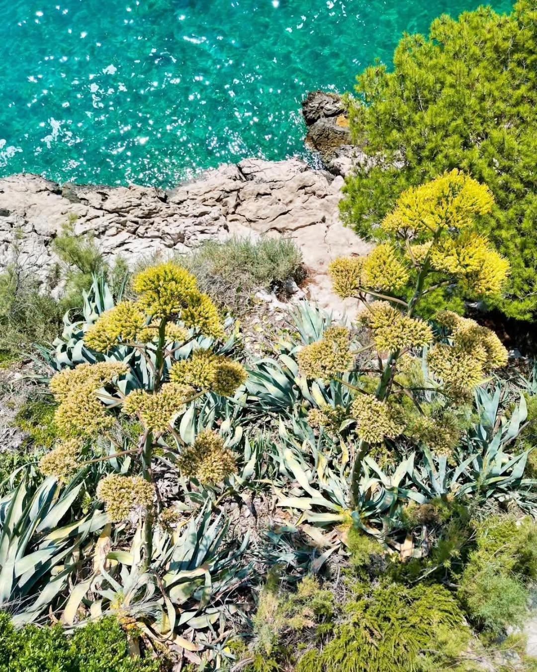 Apartment Villa Mirna Makarska Luaran gambar