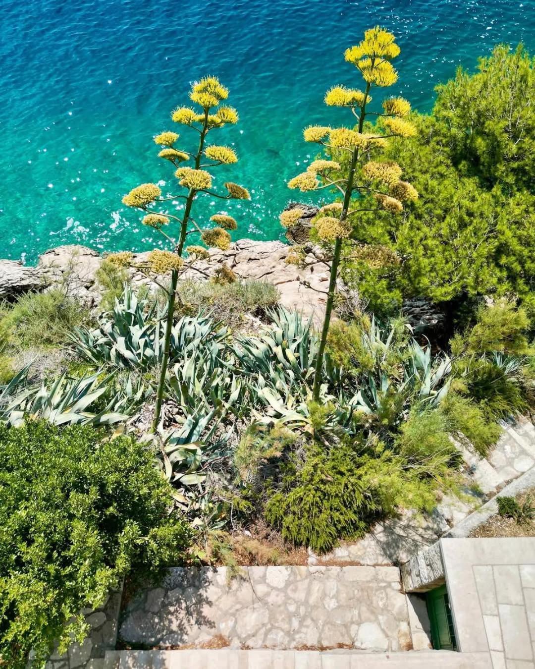 Apartment Villa Mirna Makarska Luaran gambar